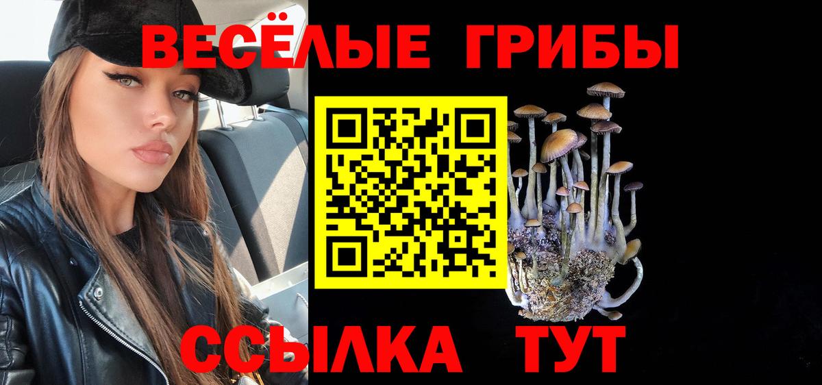 наркотики  Галлюциногенные грибы Psilocybine cubensis  Галлюциногенные грибы Psilocybe  Вход с VPN  Кострома 